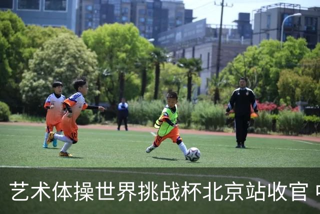 艺术体操世界挑战杯北京站收官 中国队再收2金4银